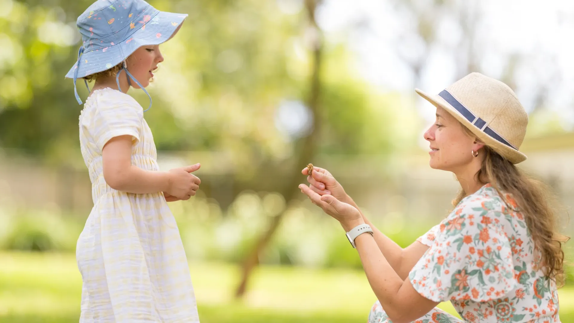 Glenaeon students outdoor learning