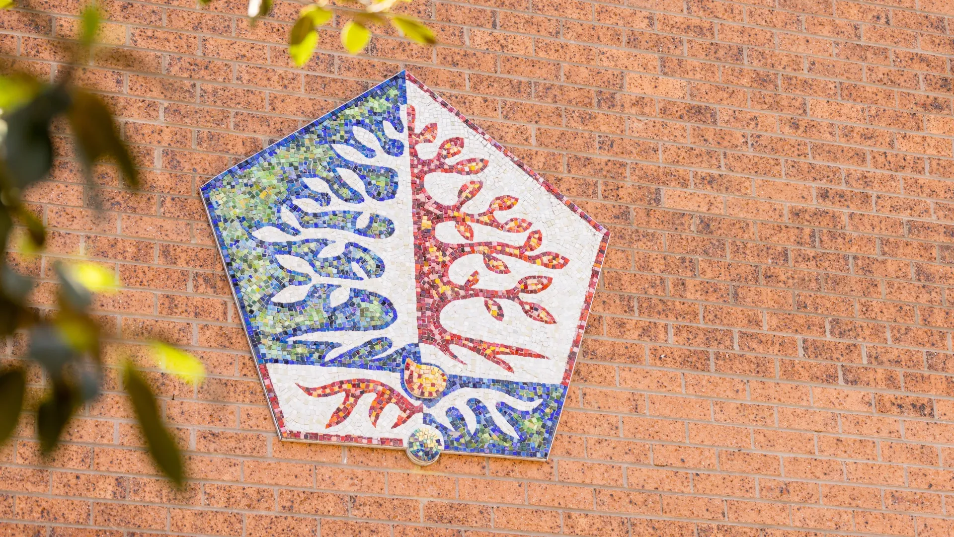 Glenaeon students outdoor learning