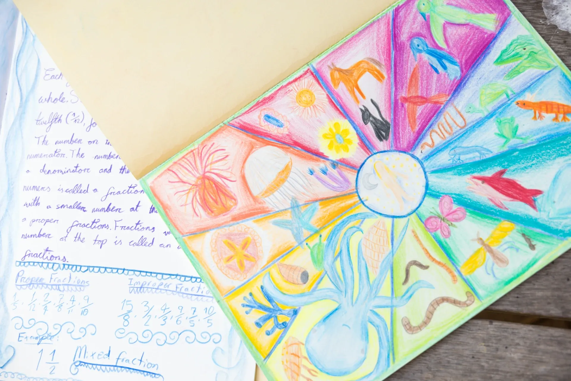 20251022_Steiner_MiddleCove_0650 1