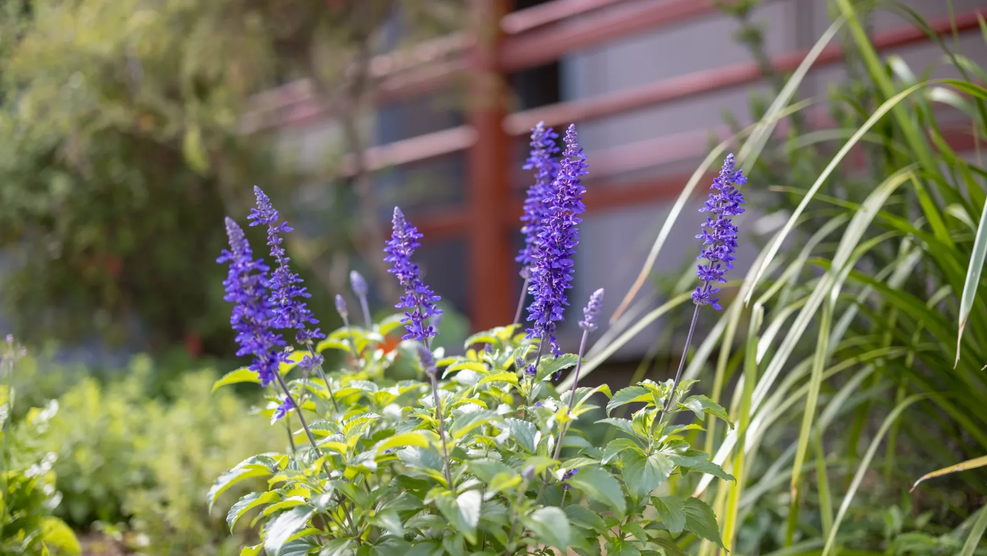Glenaeon students outdoor learning