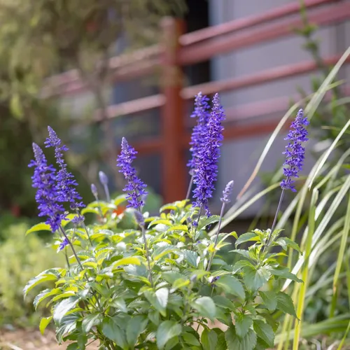 Welcome from Head of School